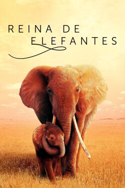 Reina de elefantes (2019)