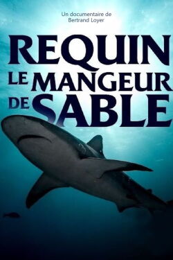 Requin - Le mangeur de sable (2021)