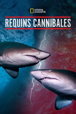 Requins Cannibales (2019)