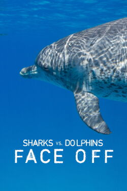 Requins vs dauphins (2016)