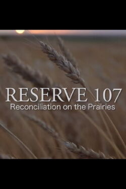 Reserve 107 (2016)