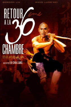 Retour à la 36ème chambre (1980)