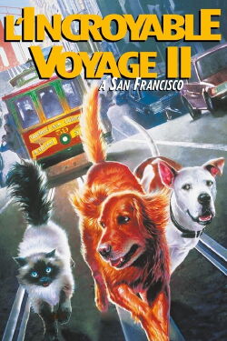 Retour au bercail II: Perdus à San Francisco (1996)