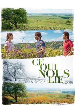 Retour en Bourgogne (2017)