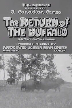 Return of the Buffalo (1938)