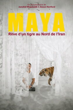 Rêve d’un tigre au Nord de l’Iran (2020)
