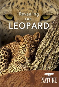Revealing the Leopard (2010)