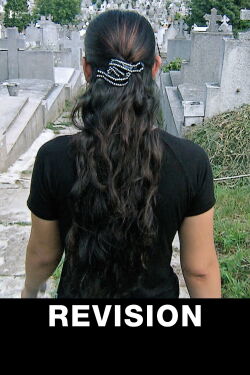 Revision (2012)
