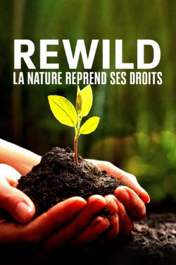 Rewild, la nature reprend ses droits (2022)