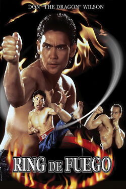 Ring de fuego (1991)