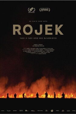 Rojek (2022)