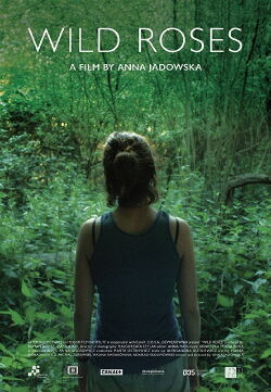 Rosas salvajes (2017)