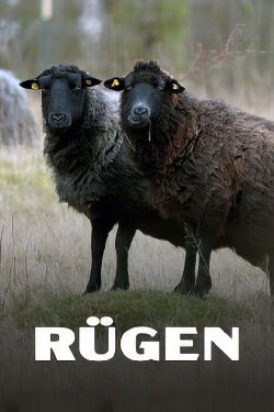 Rügen - Weiße Felsen, grüne Wälder (2023)