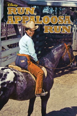 Run, Appaloosa, Run! (1966)