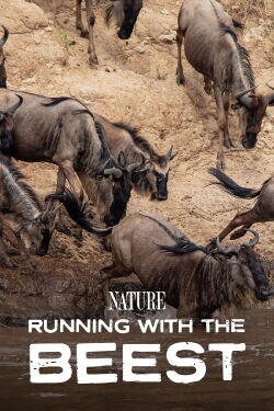 Running With The Beest (2022)