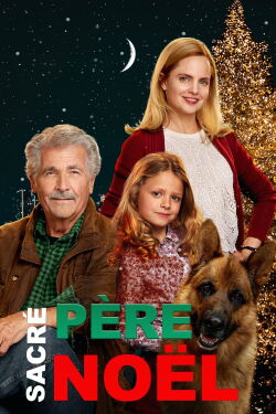 Sacré Père Noël (2016)
