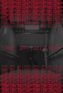 Same Day Delivery (2024)