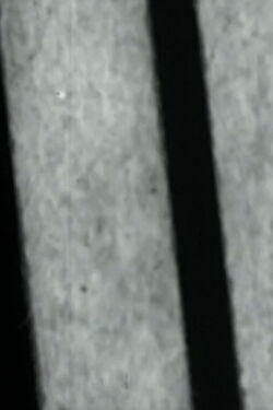 Sans titre (2006)
