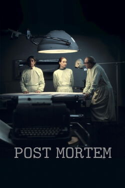 Santiago 73, Post Mortem (2010)