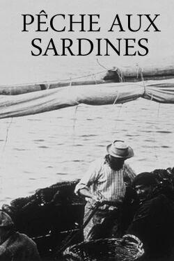 Sardine Fishing (1896)