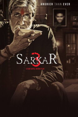 Sarkar 3 - Tödliche Geschäfte (2017)