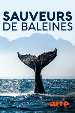 Sauveurs de baleines : les héros de l'île Campobello (2020)