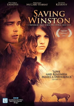 Saving Winston (2011)