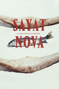 Sayat Nova : La Couleur de la grenade (1969)
