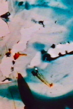 SB (One Minute for Vienna) (2002)