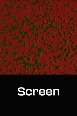 Screen (1969)