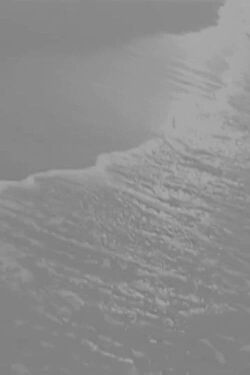 Sea of Tranquility (2004)