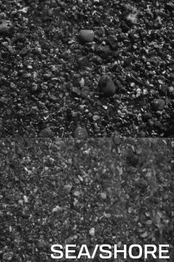 Sea/Shore (1979)