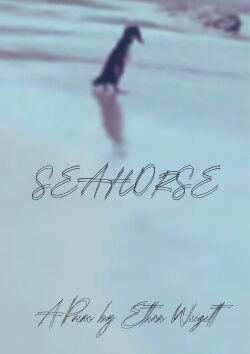 Seahorse (2024)