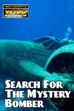Search for the Mystery Bomber (2007)