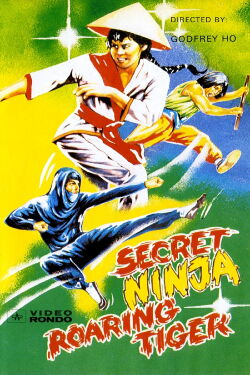 Secreto ninja (1982)