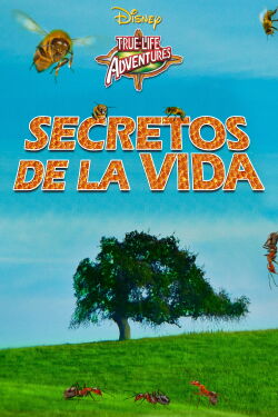 Secretos de la vida (1956)
