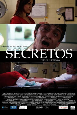 Secrets (2013)