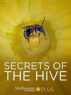 Secrets of the Hive (2015)