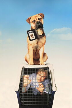See Spot Run (2001)