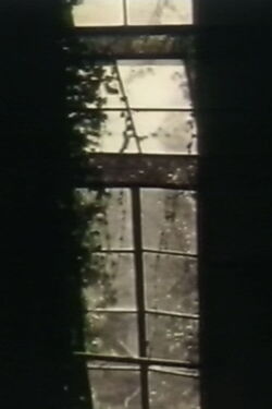 See Through The Shadow Of Darkness (1996)