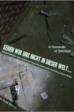 Sehen wir uns nicht in dieser Welt... (2013)