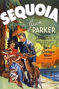 Sequoia - Herrin der Wildnis (1935)