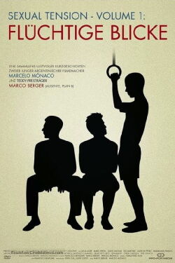 Sexual Tension: Volatile (2012)
