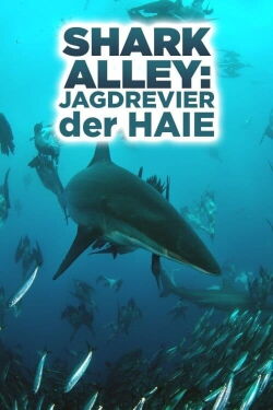 Shark Alley: Jagdrevier der Haie (2015)