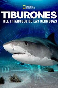 Sharks of the Bermuda Triangle (2020)