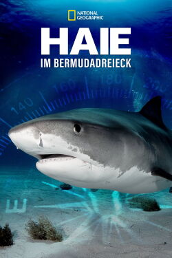 Sharks of the Bermuda Triangle (2020)