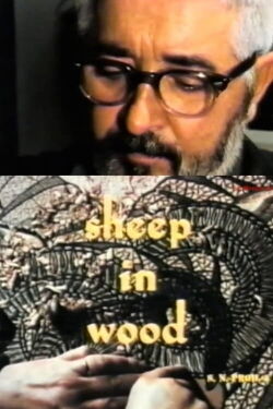 Sheep in Wood (1971)