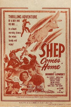 Shep Comes Home (1948)