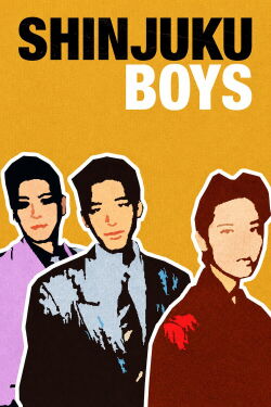 Shinjuku Boys (1995)