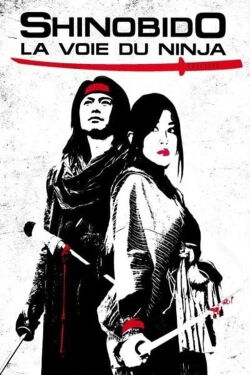 Shinobido, La voie du ninja (2012)